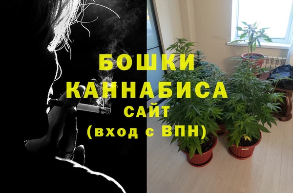 ALPHA PVP Алексин
